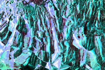 AP 69C1